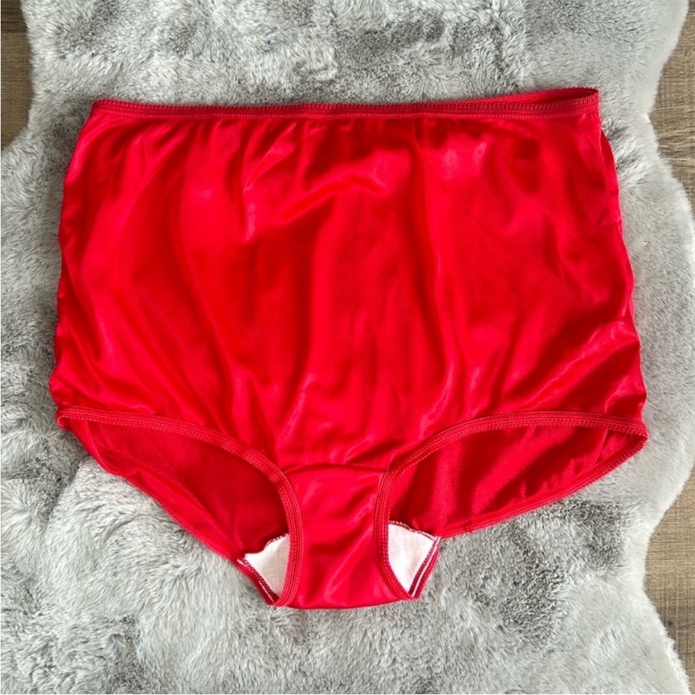 Vintage Natufelle 100% Nylon Panty 10